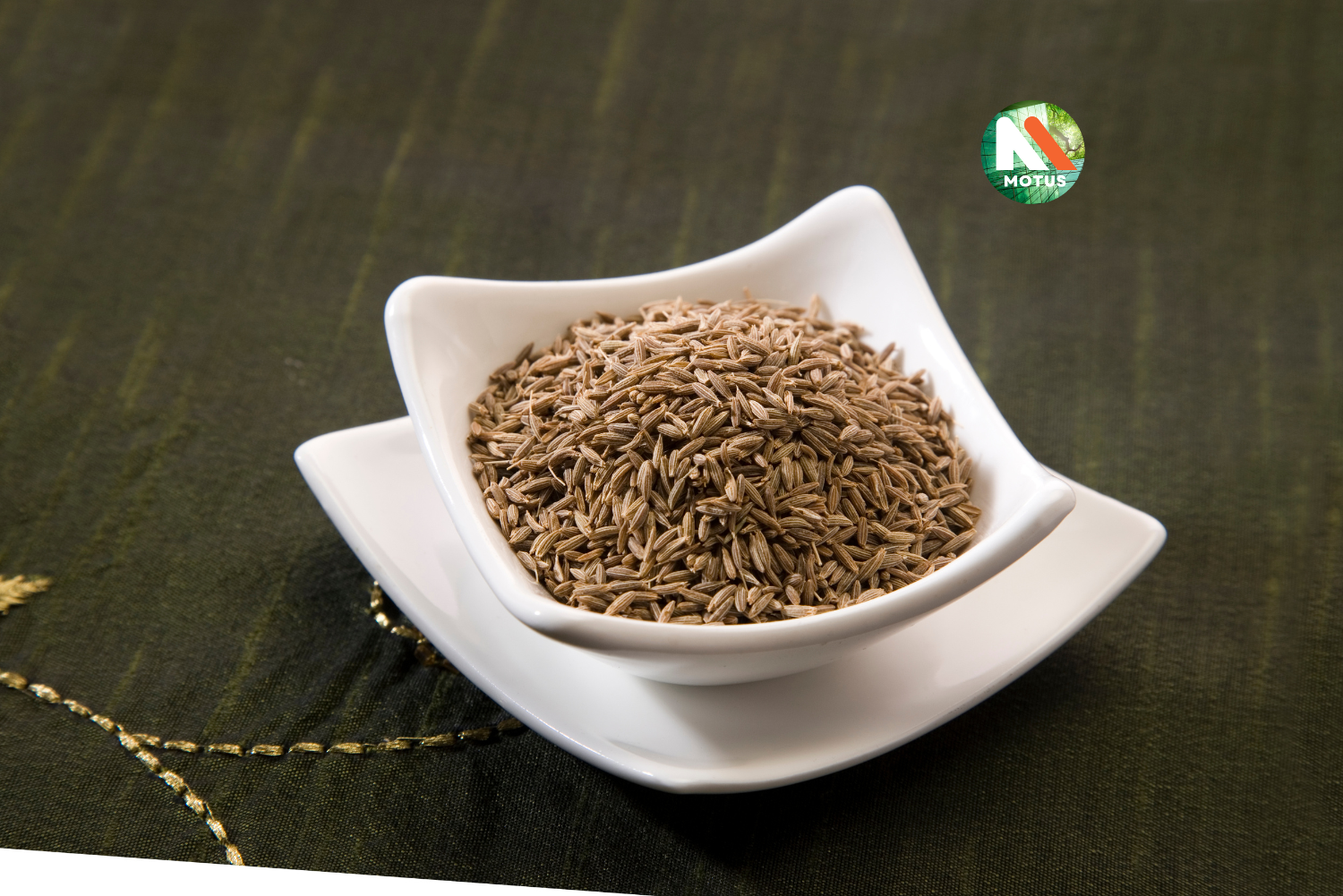 Cumin Seeds ( Sabut Jeera)