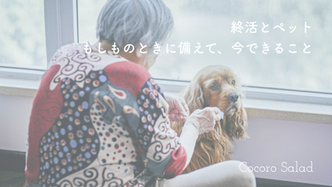 終活とペット―もしものときに備えて、今できること