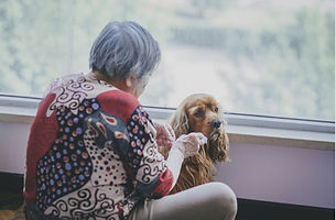 おばあさんと犬_edited.jpg