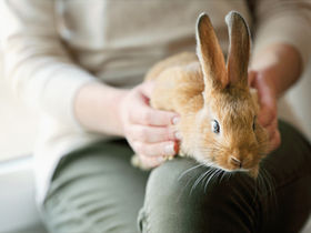「人に頼ること」を、自分に許せないあなたへ。