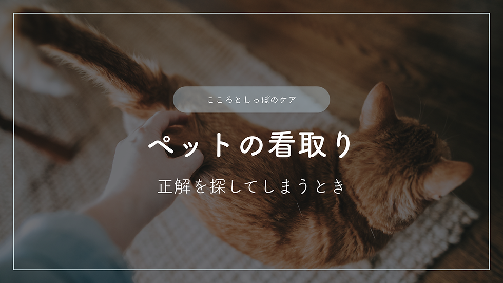 ペットの看取り―正解を探してしまうとき
