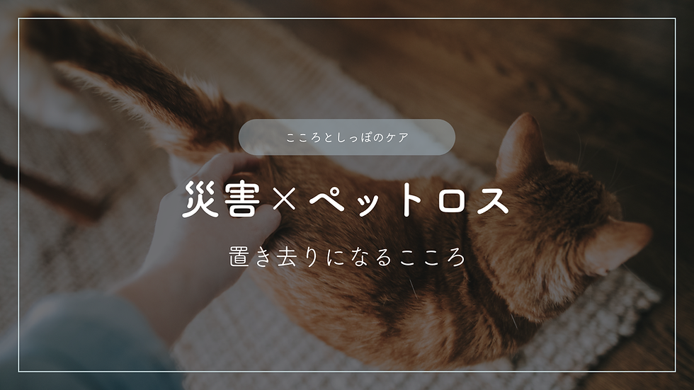 災害とペットロス―生活再建の中で置き去りになるこころ