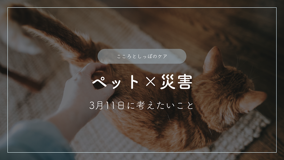 ペットのためにできる災害への備え―3月11日に考えること