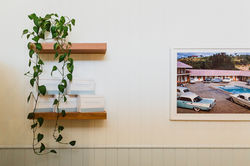 Skin Divinity cosmetic clinic byron bay| whitewood agency | Interior Design