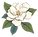 Magnolia Fence Co flower_edited.png