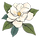 Magnolia Fence Co flower_edited.png