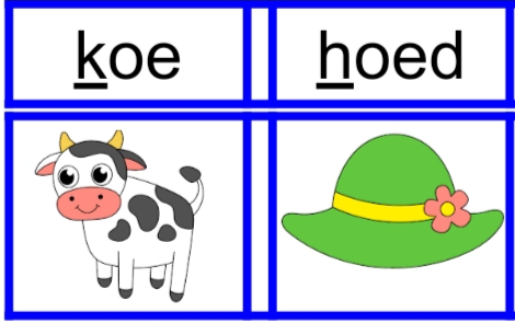 kaartjes leesbingo mkm-woorden met oe