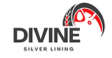 Divine Silver Lining LLC (1).png