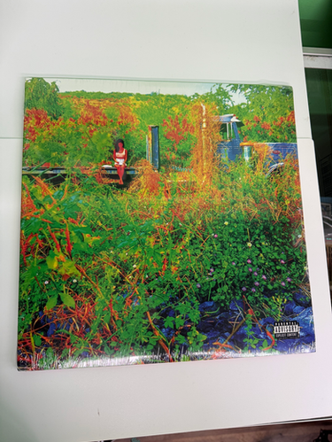 Jhene Aiko trip vinyl Sealed | Vinylking Records and Collectables