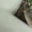 Thumbnail: Taylor Swift - The Tortured Poets Department Ltd Ed The Balter Sealed Vinyl 