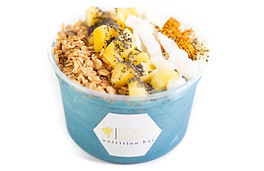 HoneyHive---855.jpg