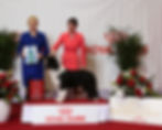 AKC National Championships