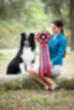 New Gold Grand Champion