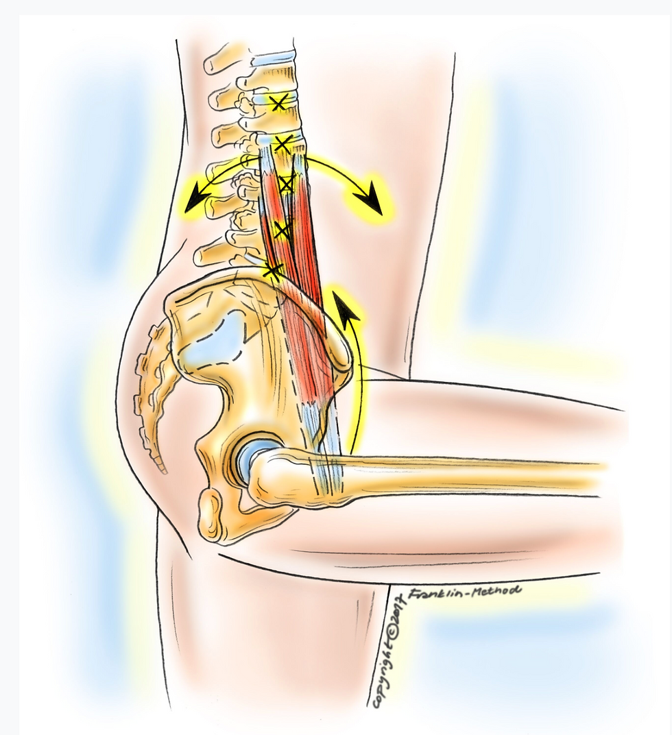Atelier Précision " Hanche et psoas: libérer le plis de l’aine"