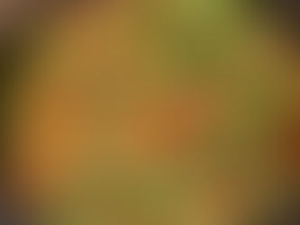 Shrimp & Broccoli with Black Bean Sauce