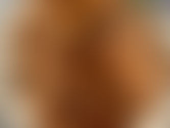 Grilled Chicken with Peppers & Onions