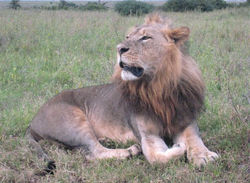 UJONJO @ NO19-6thdec'10