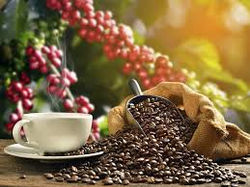 Café de Chiapas