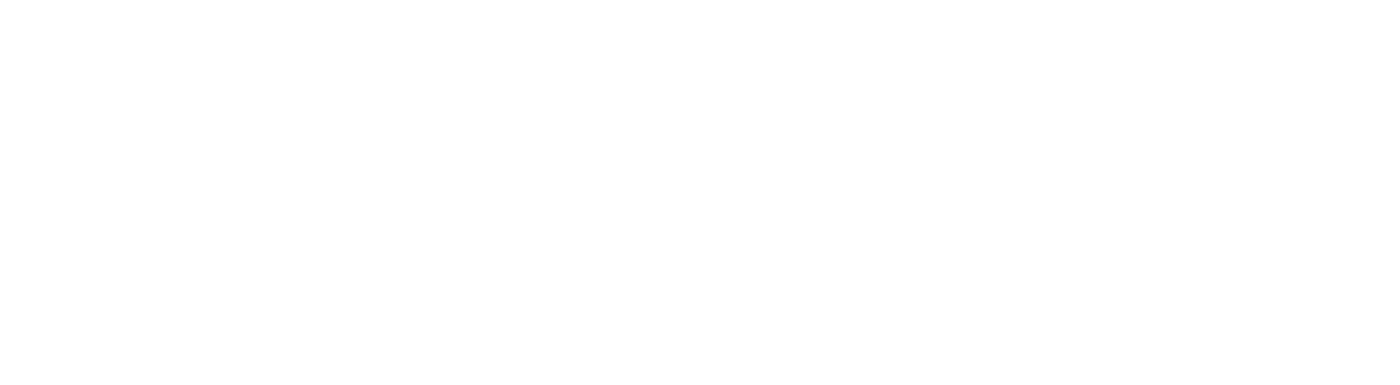 LOGO - LETRAS - WHITE - SF.png