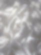 susan-wilkinson-tP5umygLXsg-unsplash.jpeg