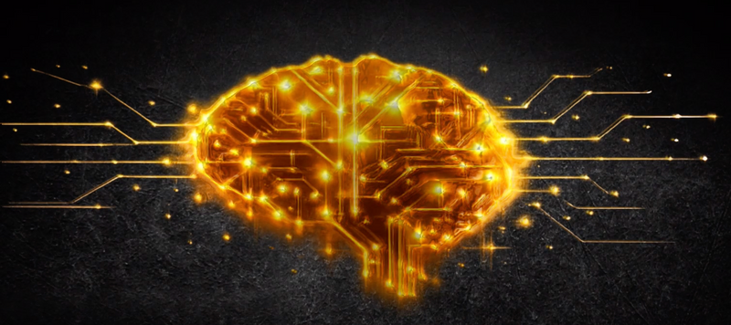 Wired for Success: A Brain Based Performance Program