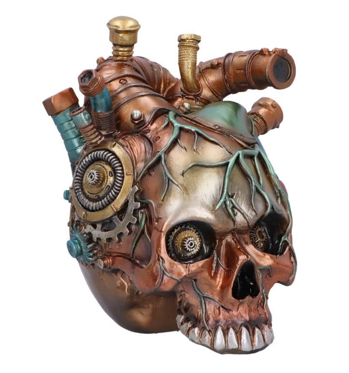 Cardiac Cranium 17.5cm