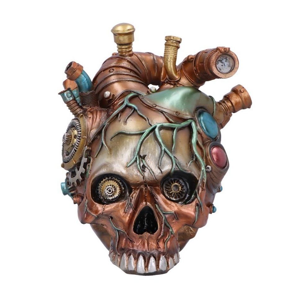 Thumbnail: Cardiac Cranium 17.5cm