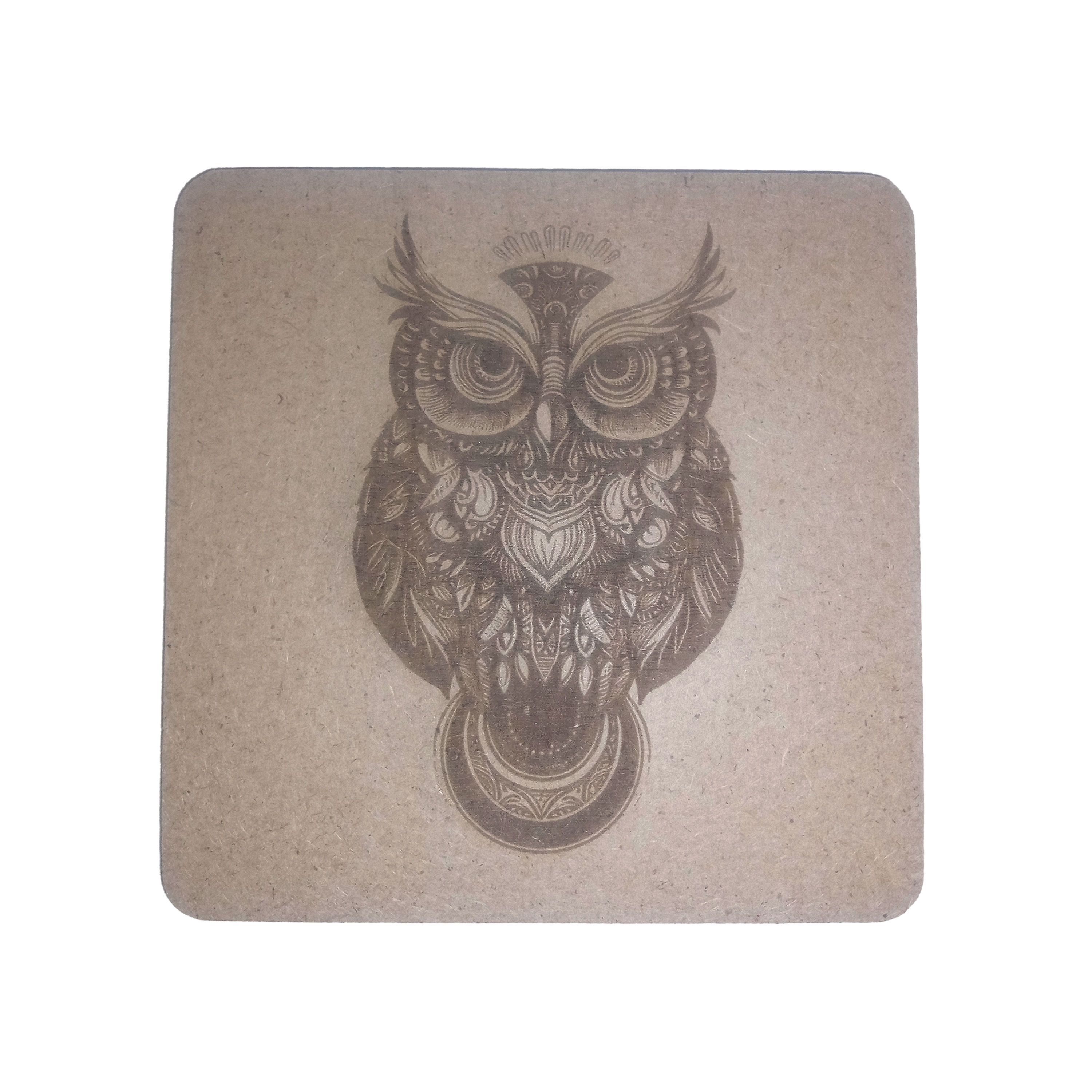 Owl Coaster
