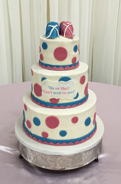 Gender Reveal He or She, Can't Wait