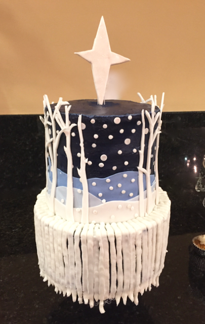 #Wintercake #Christmascake