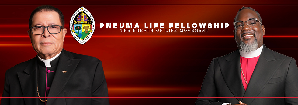 aboutpneuma.png