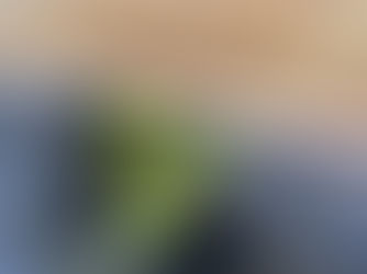 Baker Roofing technician performing a commercial roof inspection on a flat roofing system in South Carolina