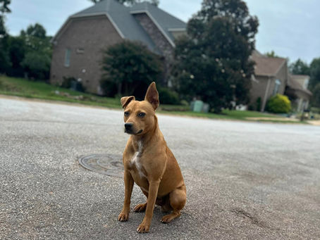 Wylie - Reunited 9/9/24