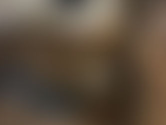 Bruno - Reunited 11/22/24