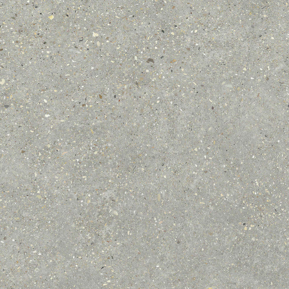 Thumbnail: Polished Concrete Look Tile in Perla