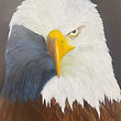 Aigle royal- Acrylique sur toile- 100cm/80cm