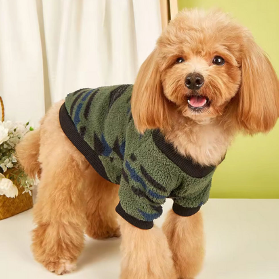 Thumbnail: Native Inspired Dog Apparel