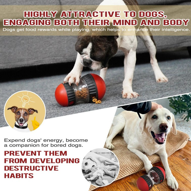 Thumbnail: Puzzle Adventure Feeders for Canines