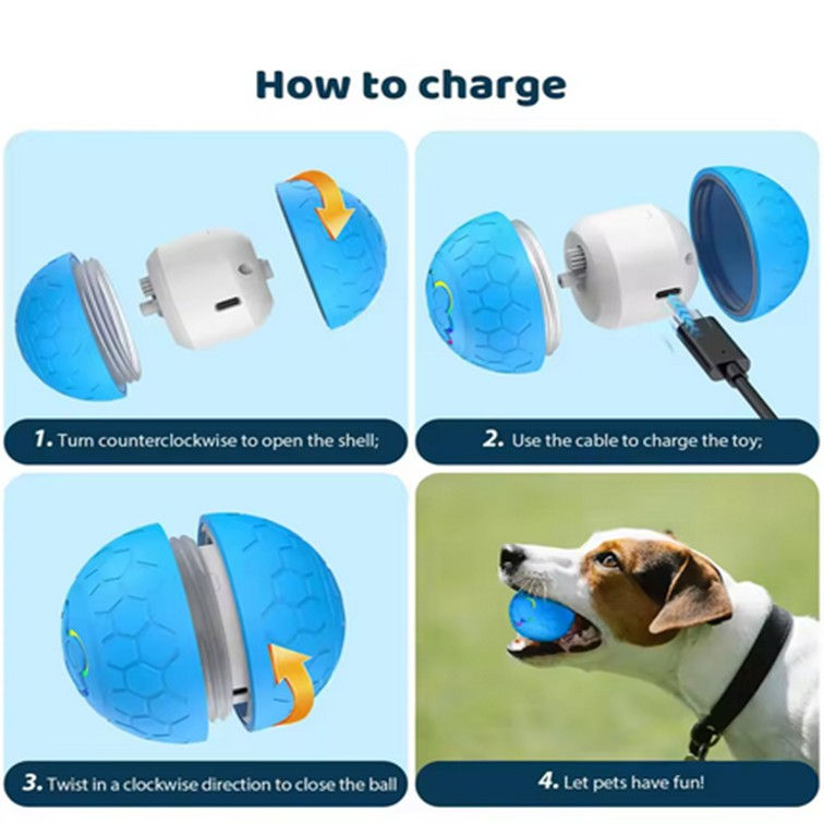 Thumbnail: Energetic Dog Motion Sphere
