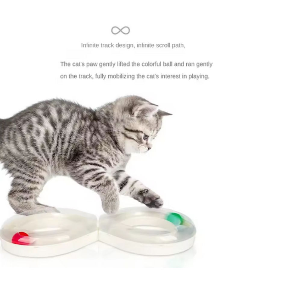 Thumbnail: Spin-A-Pet Teasing Play Kit