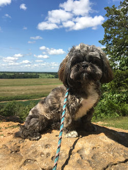 izzy rock climb