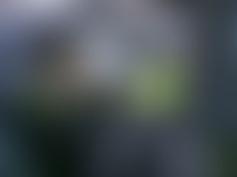 Alkollü Araç Kullanma ve Cezası 2024