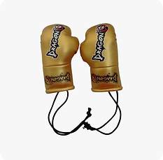 Ofit Ürünler kopyası (28).png