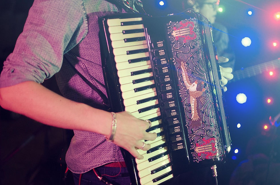 adaoaalves-accordion-1855799_1280