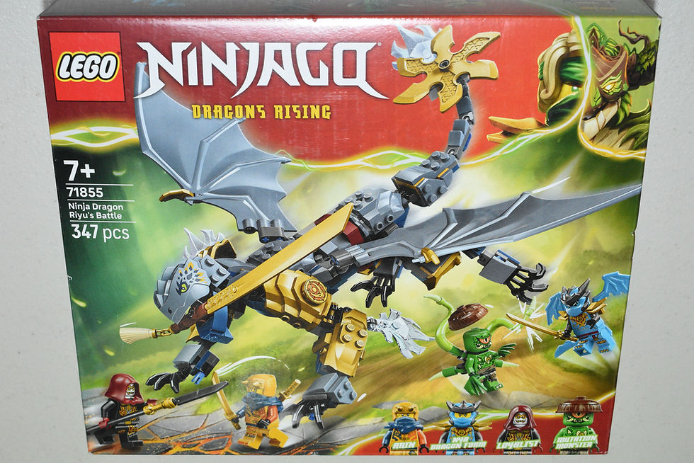 LEGO Ninjago 71855 Ninja Dragon Riyu's Battle