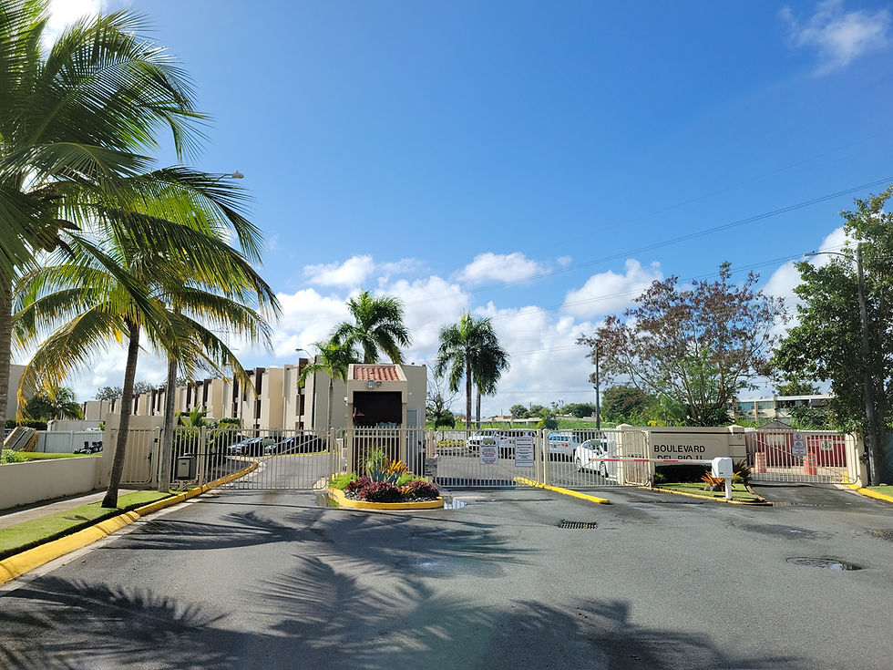 Entrada de Blvd del Rio II. Ricardo Martinez.jpg