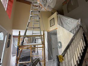 Trigueiro Popcorn Removal