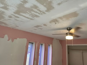 Partial Ceiling Repairs