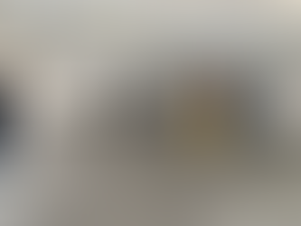 内覧会を実施しました。