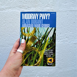 ModrwyPwyA.jpg